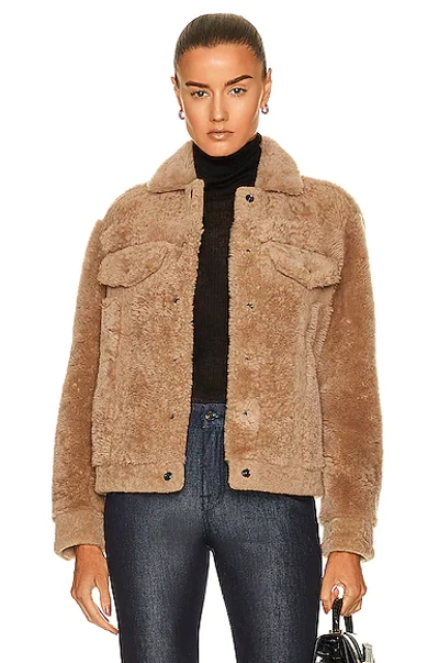 Tom Ford Single-breasted Shearling Jacket In Dp199 Nude