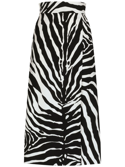 Dolce & Gabbana Zebra Printed Cady Straight Midi Skirt In Black