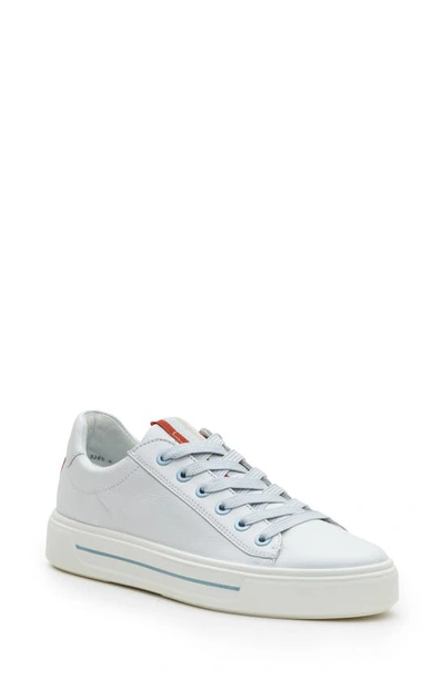 Ara Camden Sneaker In White Cervocalf