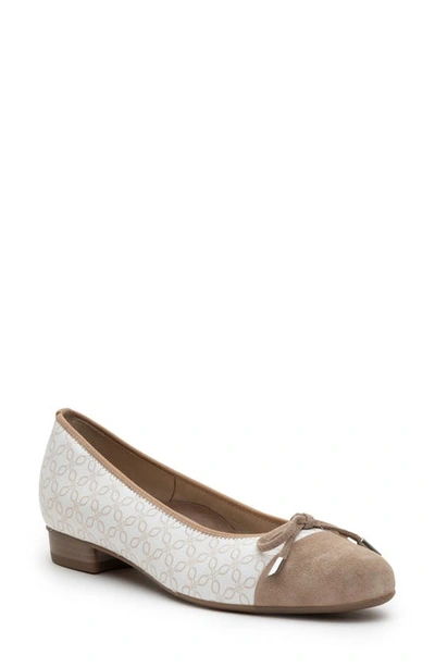 Ara Belinda Ballet Flat In Sand Velour Multi Model