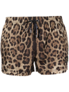 Dolce & Gabbana Brown All-over Leopard Print Shorts Swimsuit In Brown