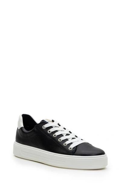 Ara Camden Sneaker In Navy Cervocalf