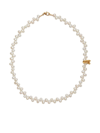 Alighieri Gold-plated The Calliope Pearl Choker Necklace In Gold