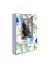 Assouline Books And City Guides Multicolor Uni