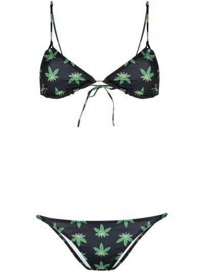 Natasha Zinko Cannabis Print Bikini In Black