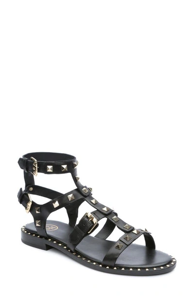Ash Pacific Studded Strappy Sandal In Black