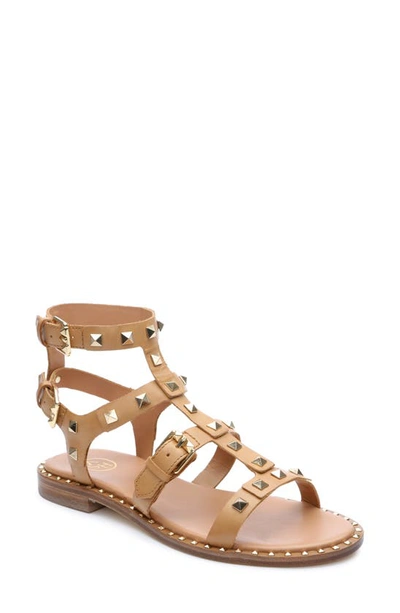 Ash Pacific Studded Strappy Sandal In Nude