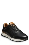 Allen Edmonds Lawson Sneaker In Black