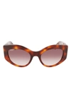 Ferragamo 53mm Gancini Butterfly Sunglasses In Classic Tortoise