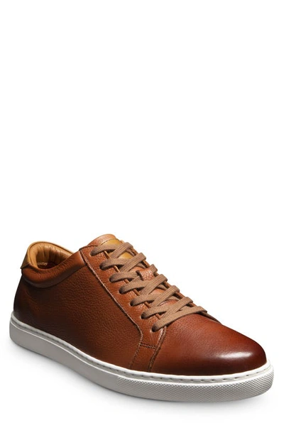 Allen Edmonds Men's Courtside Leather Low-top Trainers In Chili