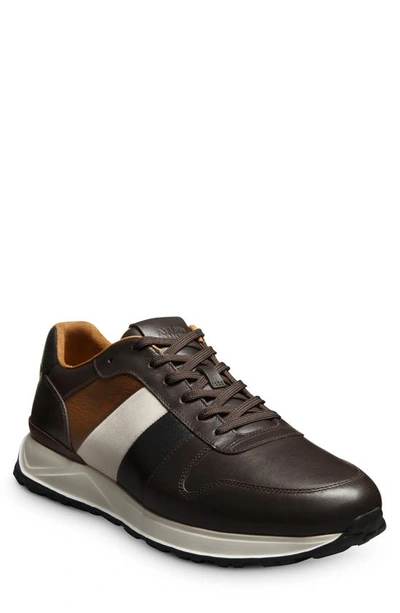 Allen Edmonds Lawson Sneaker In Dark Brown