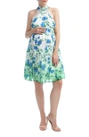 Kimi And Kai Norah Floral A-line Halter Maternity Dress In Green