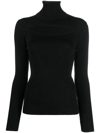 P.a.r.o.s.h Leila Turtleneck Wool Sweater In Schwarz
