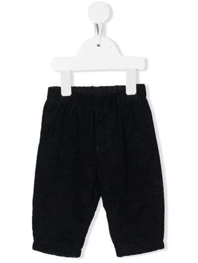 Emporio Armani Babies' Straight-leg Trousers In Blue
