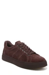 Vince Larsen Suede Oxford Sneakers In Beet Root