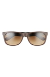 Ray Ban 58mm Polarized Square Sunglasses In Arista/ Polar Brown
