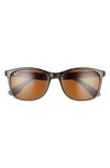 Ray Ban 56mm Square Sunglasses In Legend Gold/ Clear Dark Grey