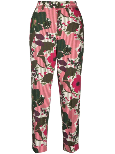 P.a.r.o.s.h Floral-print Cropped Trousers In Pink
