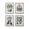 Frontgate Bamboo Botanicals Giclee Prints