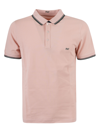 Fay Polo Shirt With Embroidered Logo In Rosa