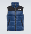 THE NORTH FACE HMLYN VEST