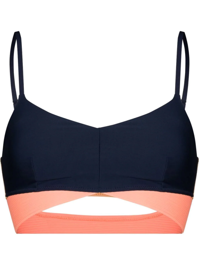 The Upside Shakti Simone Cutout Color-block Ribbed Stretch Sports Bra In Blue