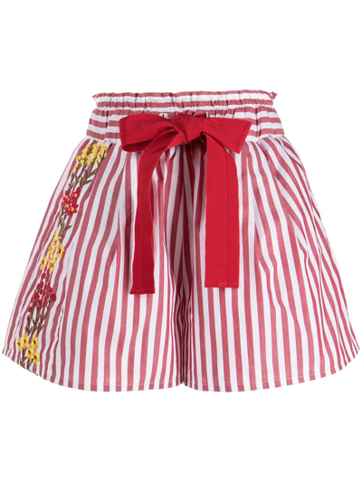 Silvia Tcherassi Giorgio Floral-embroidered Stripe Pull-on Shorts In Maroon Floral Emb