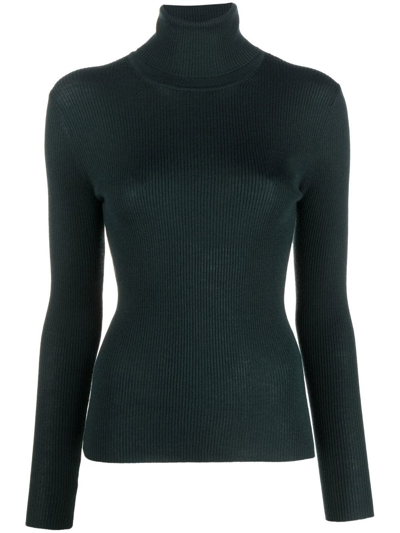 P.a.r.o.s.h Parosh Ribbed-knit Roll Neck Sweater In Dark Green
