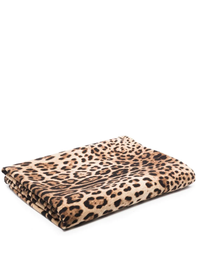 Dolce & Gabbana Leopard Print 140cm X 180cm Blanket In Braun