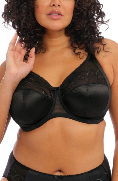 Elomi Cate Full Figure Underwire Lace Cup Bra El4030, Online Only In Black