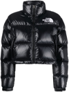 The North Face Logo-print Cropped Feather-down Puffer Jacket In Schwarz