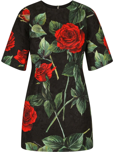 Dolce & Gabbana Cotton Blend Rose Print Short Dress In Nero