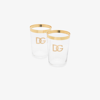 DOLCE & GABBANA NEUTRAL SET OF TWO LOGO PRINT GLASSES,TCBS03TCAGE18593048