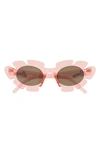 Loewe Flower Acetate Cat-eye Sunglasses In Shiny Pink / Brown