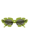 Loewe 47mm Tinted Oval Sunglasses In Shiny Light Green / Smoke