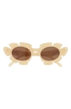 Loewe Paulas Ibiza 47mm Flower Sunglasses In Shiny Beige / Brown