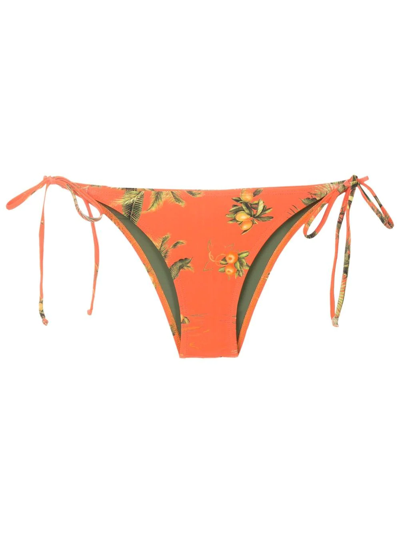 Lygia & Nanny Thai Floral-print Bikini Bottoms In Orange