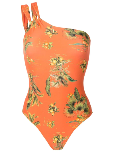 Lygia & Nanny Floral-print One-shoulder Swimsuit In Orange