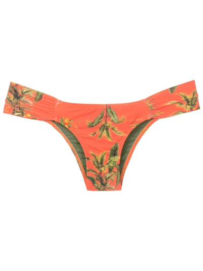 Lygia & Nanny Tropical Ritz Pants In Orange