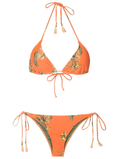 Lygia & Nanny Maya Floral-print Bikini Top In Orange