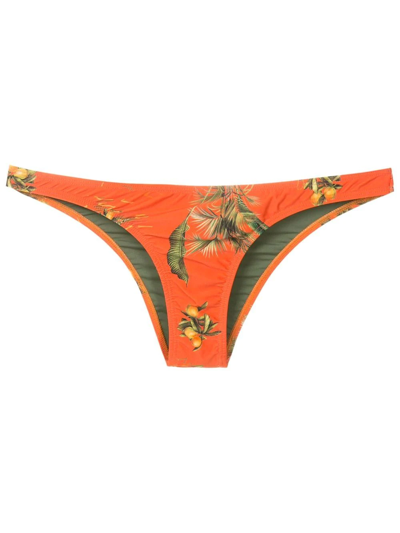 Lygia & Nanny Floral-print Bikini Bottoms In Orange