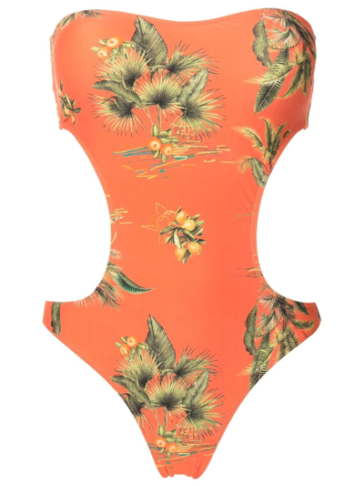 Lygia & Nanny Taylor Floral-print Swimsuit In Orange