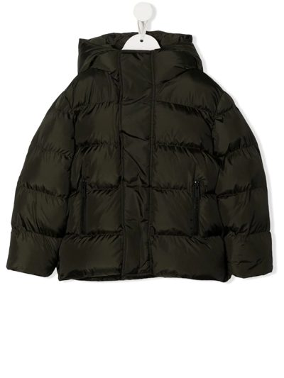 Dsquared2 Rear-logo Hooded Puffer Jacket In 绿色