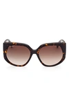 Max Mara 58mm Gradient Geometric Sunglasses In Dark Havana / Gradient Brown