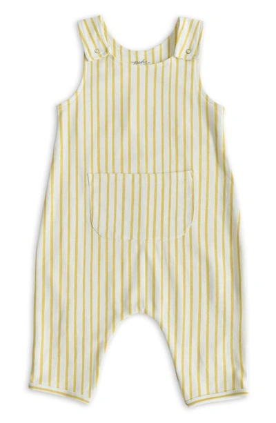 Pehr Babies' Stripes Away Organic Cotton Overalls In Marigold