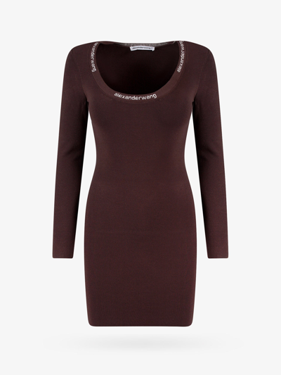 Alexander Wang T Dress In Brown