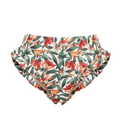 Agua By Agua Bendita Jegibre Monarca Ruffled Floral-print Mid-rise Bikini Briefs In Multi