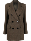 Isabel Marant Ezilea Double-breasted Checked Wool Blazer In Braun