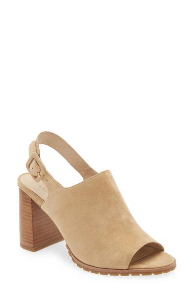 Pelle Moda Ode Slingback Sandal In Latte