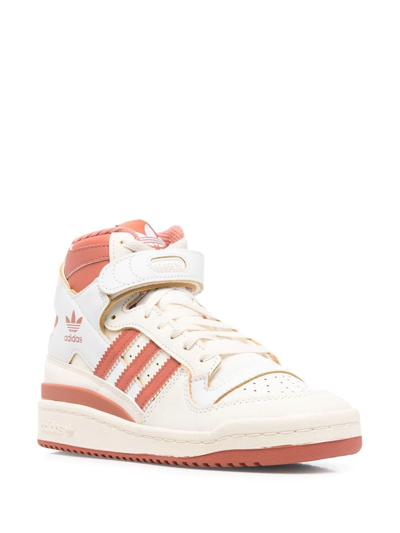 Adidas Originals Forum 84 High-top Sneakers In White,pink
